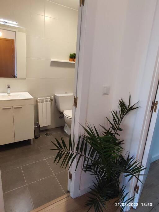 Casa Dina Apartment Carballino